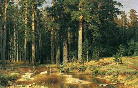 Shishkin