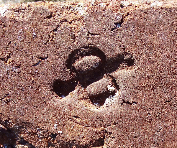 Kirpich 2