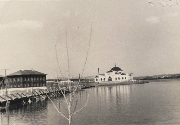 Kultura 5