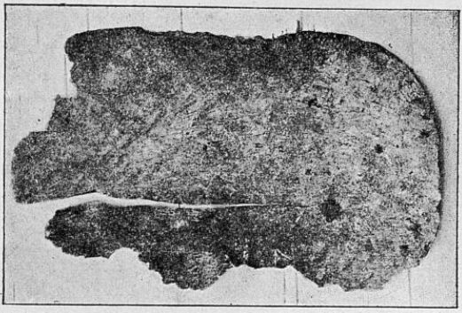 Lopata 4