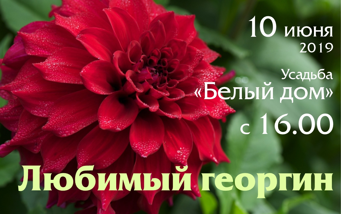 Georgin